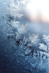 Delicate ice patterns form on a window, showcasing nature's artistry in the soft morning light
