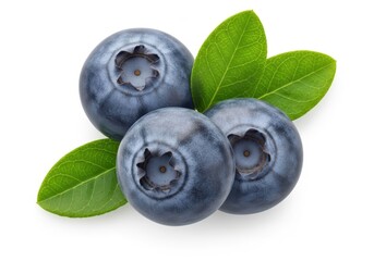 Three plump ripe blueberries with green leaves on white blueberry fruit