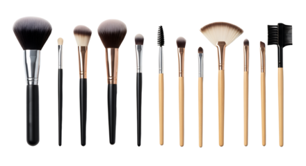 Cosmetic Brushes on Transparent Background, Professional Makeup Tools Still Life