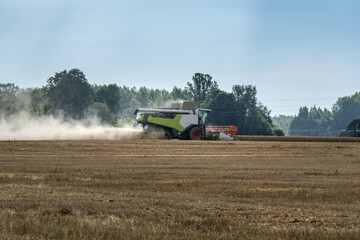 Modern combine harvester working on a golden wheat field during harvest season on a sunny summer day, with dust in the air and forest in the background