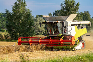 Modern combine harvester reaping golden wheat on a summer day with a white stork nearby in the field, symbolizing coexistence of farming and nature