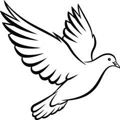 Obraz premium A white dove in flight with outstretched wings silhouette