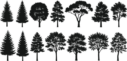 Tree silhouette vector set, black trees, coniferous and broadleaf shapes, botanical illustration, nature icons, isolated PNG, forest design