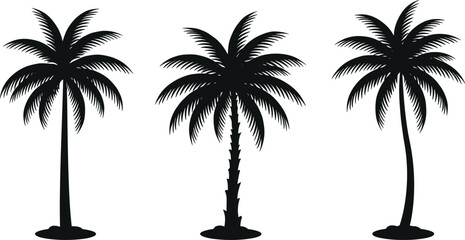 Silhouettes of tropical palm trees in various shapes, vector illustration for nature, summer, beach, exotic plant, design projects