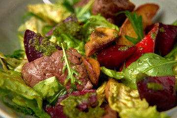 A Colorful and Nutritious Salad Featuring Fresh Ingredients Including Tender Meat, Crunchy Vegetables, and Flavorful Herbs for a Healthy Meal Option