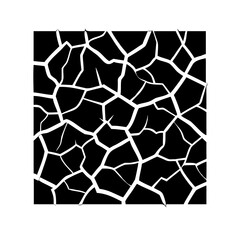 Abstract cracked pattern vector design black and white grunge texture crackle surface broken background for prints