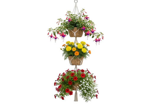 Three tiered hanging basket display of vibrant colorful flowers isolated on transparent background