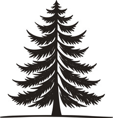 Obraz premium Tall pine tree silhouette with textured branches evergreen