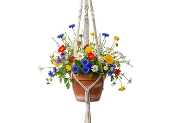 Vibrant mixed wildflowers in a terracotta pot hanging from a macrame holder isolated on transparent background