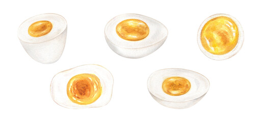 Boiled egg halves in different angles watercolor illustration clip art on isolated white background. ingredient set for healthy food blogs, breakfast recipes, restaurant menus and meal prep packaging