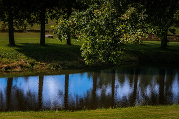 A calm, reflective stream bordered by grass and tall trees casting shadows. Clear reflections of...