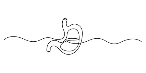 Continuous one line drawing of human stomach organs. Single line art style of stomach drawing. Illustration of stomachache concept. Doodle vector illustration