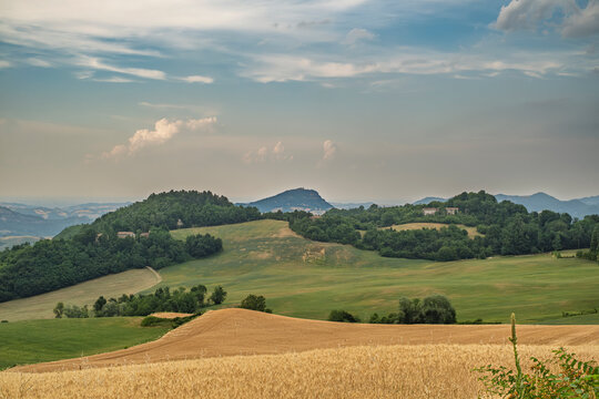Typical summer landscape of the Bologna Apennines, between Loiano and Monterenzio; in the middle Monte delle Formiche (Mount of the Ants); Metropolitan City of Bologna, Emilia-Romagna, Italy.