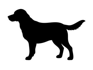 Fototapeta premium golden retriever dog black silhouette vector, Simple silhouette Design vector icon with white background. Puppy vector, Baby dog