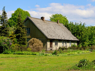 Rustic wooden village house with a tin roof and blooming garden, surrounded by lush green trees and...