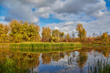 Golden Autumn Trees Reflected in Calm River