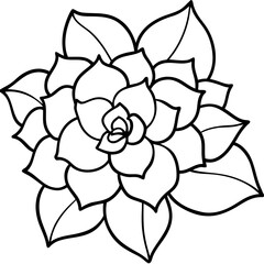 Obraz premium Stylized black and white line art drawing of a succulent plant with layered petals and leaves