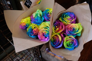 Colorfull rose flower : rainbow flower with colored petals