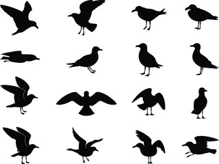 Bird Silhouette Collection Featuring Standing, Flying, and Perching Poses – Diverse Wing Positions and Iconic Bird Movements in Vector Format