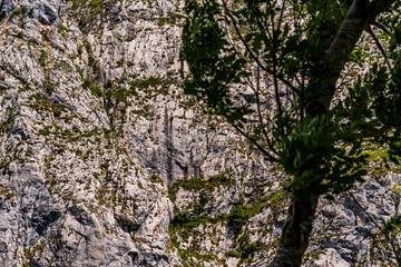 Paisaje en Bulnes, Picos de Europa.