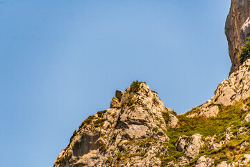 Paisaje en Bulnes, Picos de Europa.