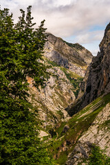Paisaje en Bulnes, Picos de Europa.