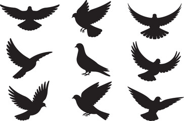 Obraz premium Collection of pigeon silhouettes in flight isolated on transparent background.