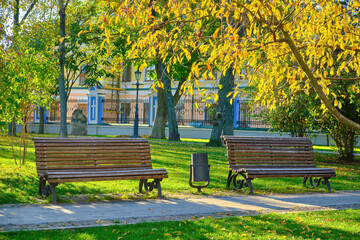 Colorful Autumn Park with Empty Benches