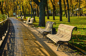 Empty Park Benches in Golden Autumn Sunlight