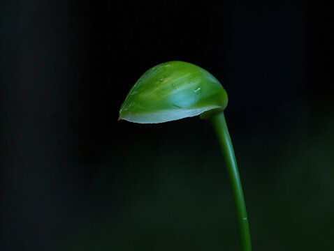 high quality City Skyline at Sunset - Powered by Adobe