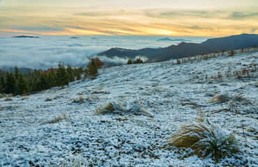 Colorful autumn morning in the Carpathian mountains. Ukraine.