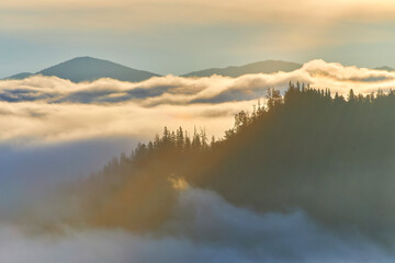 Colorful autumn morning in the Carpathian mountains. Ukraine.