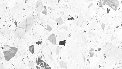 Terrazzo marbled floor texture in black and white showcasing polished granite stone. Terrazzo texture with black and gray fragments on white background for modern interior design style. 