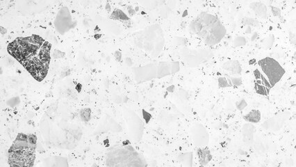 Terrazzo marbled floor texture in black and white showcasing polished granite stone. Terrazzo texture with black and gray fragments on white background for modern interior design style. 