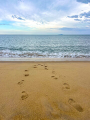 Footprints Leading to the Sea on a Quiet Tropical Beach