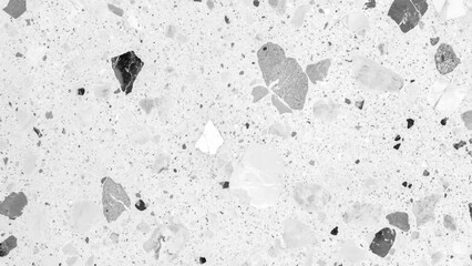 Terrazzo marbled floor texture in black and white showcasing polished granite stone. Terrazzo texture with black and gray fragments on white background for modern interior design style. 