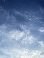 Blue Sky with Wispy Clouds and Silhouettes of Flying Birds