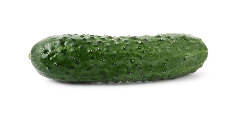 One fresh green cucumber isolated on white