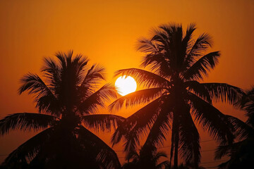 Silhouette of palm trees against a vibrant orange sunset sky image photo