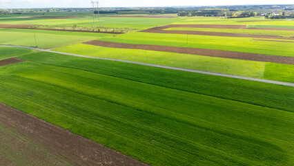 Fototapeta premium Aerial view of lush green fields with varying shades of green, demarcated agricultural land, and a dirt road. This scenic landscape depicts rural farming in spring.