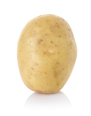 One fresh raw potato isolated on white