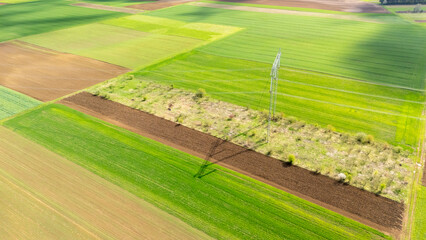 Aerial view of vibrant green fields interspersed with brown patches, showcasing agriculture and land management. The landscape features a power line casting a shadow on the terrain.