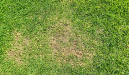 Aerial view of green grass with patches showing uneven growth. The vibrant greenery contrasts with brown areas, indicating possible drought or damage, suitable for landscaping topics.