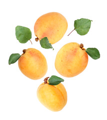 Fresh juicy apricots in air against white background