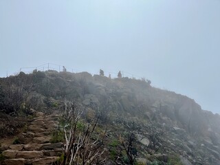 Wanderung vom Wanderparkplatz Achada do Teixeira zum Pico Ruivo, dem h&ouml;chsten Berg von Madeira