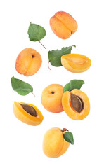 Fresh juicy apricots falling against white background