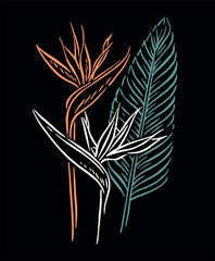 Stylized illustration of tropical flowers. Art depicting the bird of paradise flower in free, uncluttered lines.