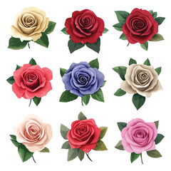 Vibrant Rose Bouquets Collection