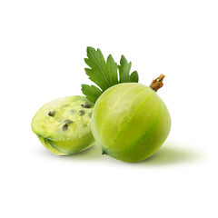 Fresh green gooseberries isolated on white. Summer berry