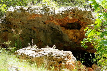 nature on the mountain
